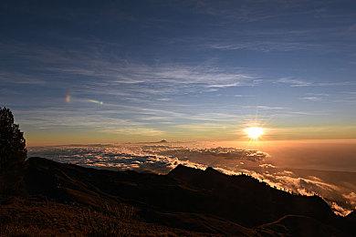 饭制《生化危机4》HD版最终预告 2月2日推出